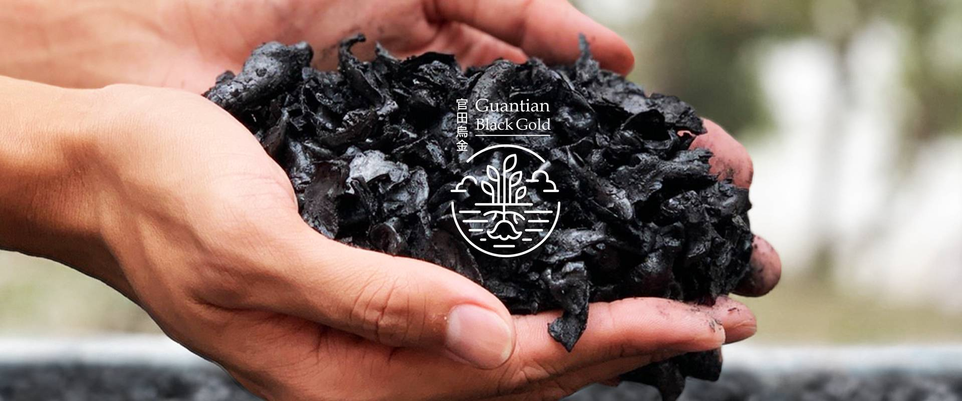 Guantian Black Gold